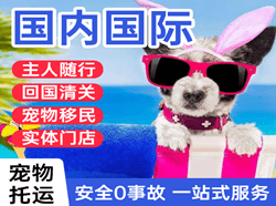 南通兴东航空快运国际宠物托运 【国